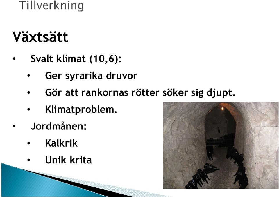 rötter söker sig djupt.