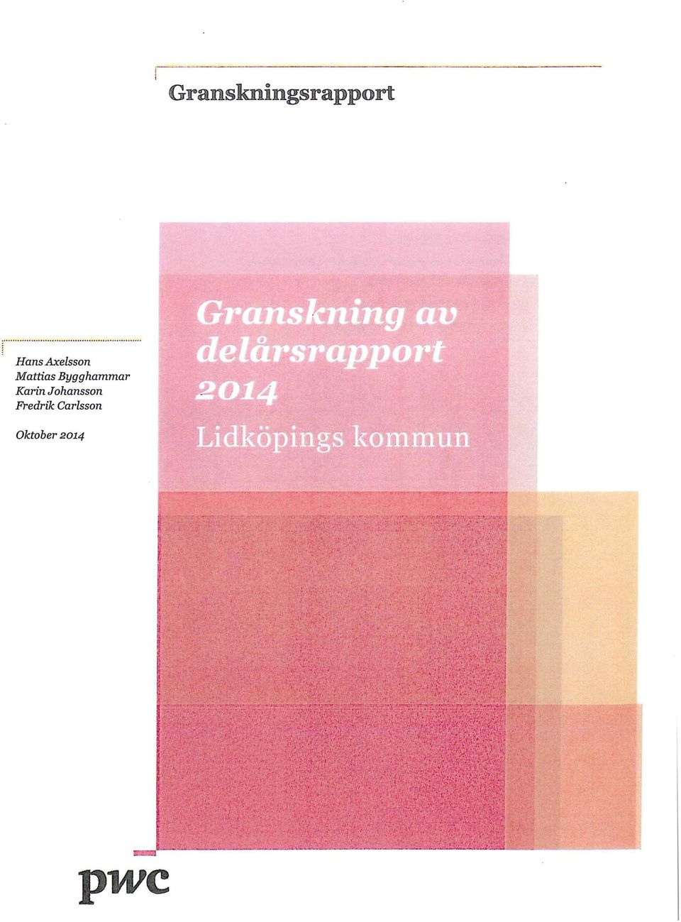 Granskningsrapport Hans Axelsson