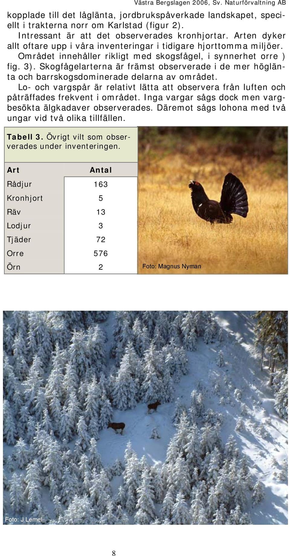Skogfågelarterna är främst observerade i de mer höglänta och barrskogsdominerade delarna av området. Lo- och vargspår är relativt lätta att observera från luften och påträffades frekvent i området.