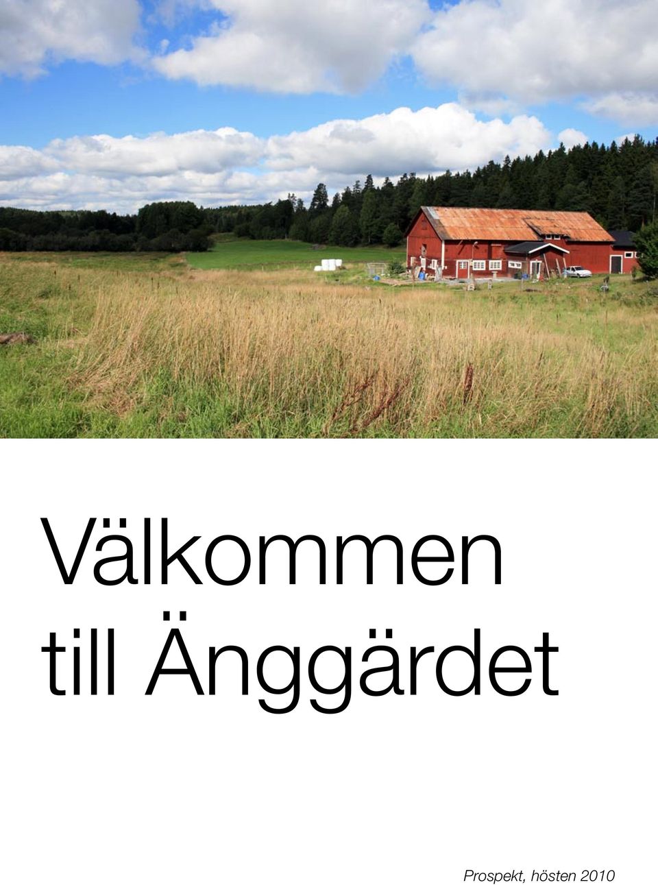 Änggärdet