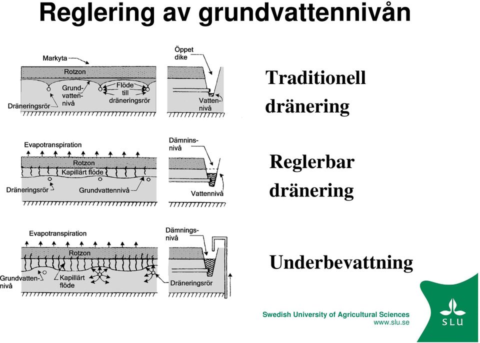 Traditionell