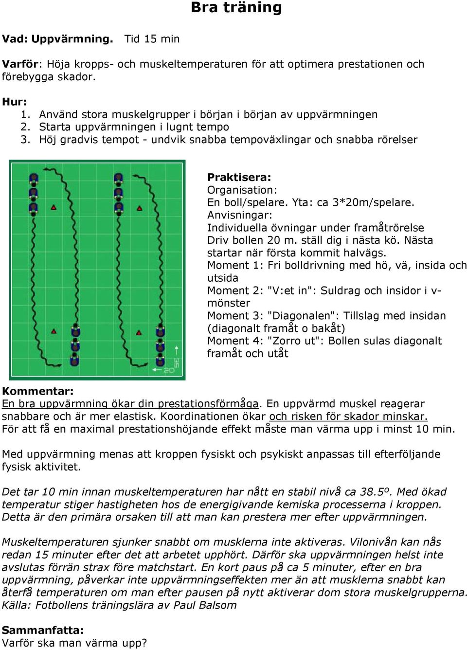 Höj gradvis tempot - undvik snabba tempoväxlingar och snabba rörelser Organisation: En boll/spelare. Yta: ca 3*20m/spelare. Individuella övningar under framåtrörelse Driv bollen 20 m.