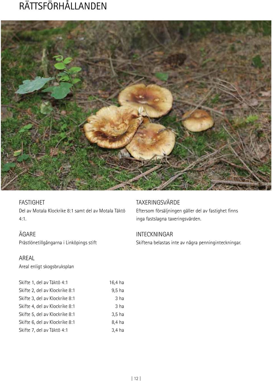 INTECKNINGAR Skiftena belastas inte av några penninginteckningar.