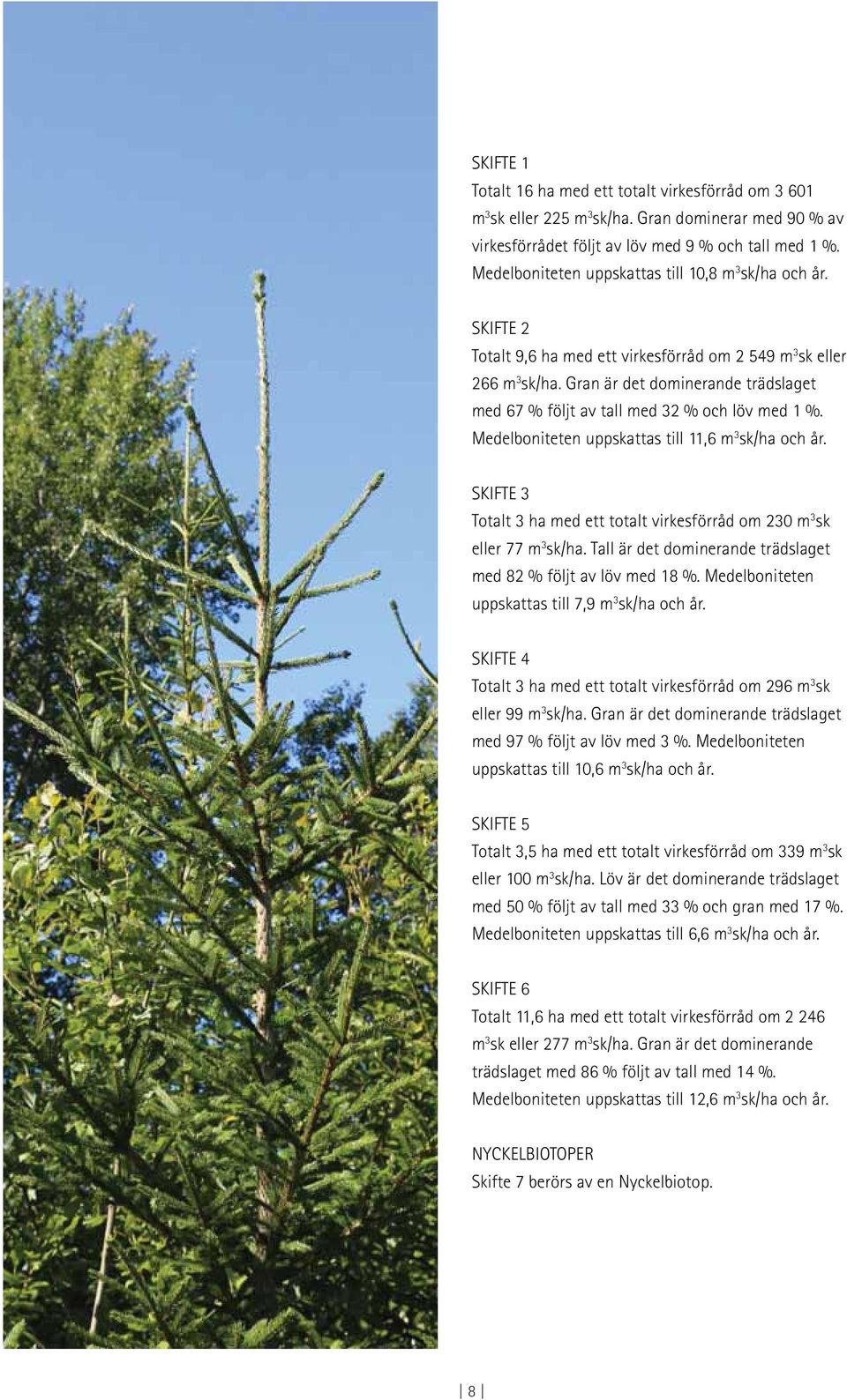 Gran är det dominerande trädslaget med 67 % följt av tall med 32 % och löv med 1 %. Medelboniteten uppskattas till 11,6 m 3 sk/ha och år.