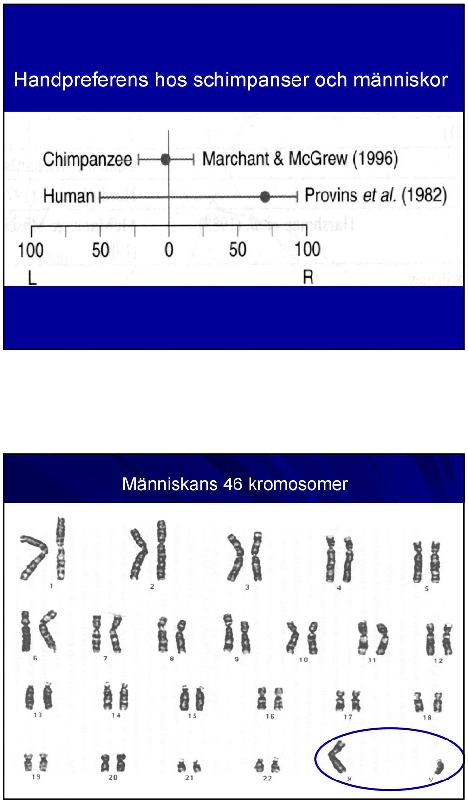 och människor