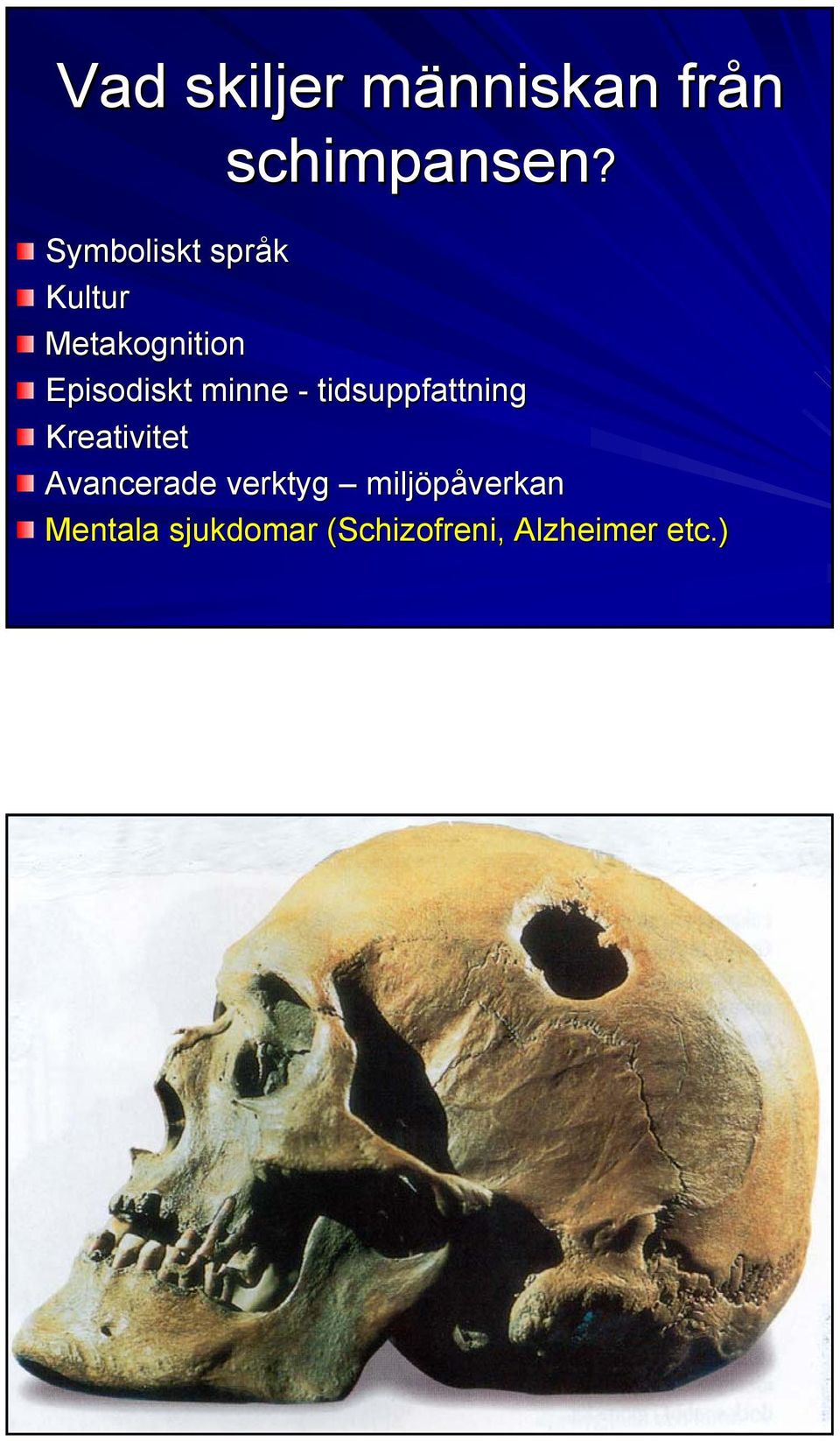 minne - tidsuppfattning Kreativitet Avancerade