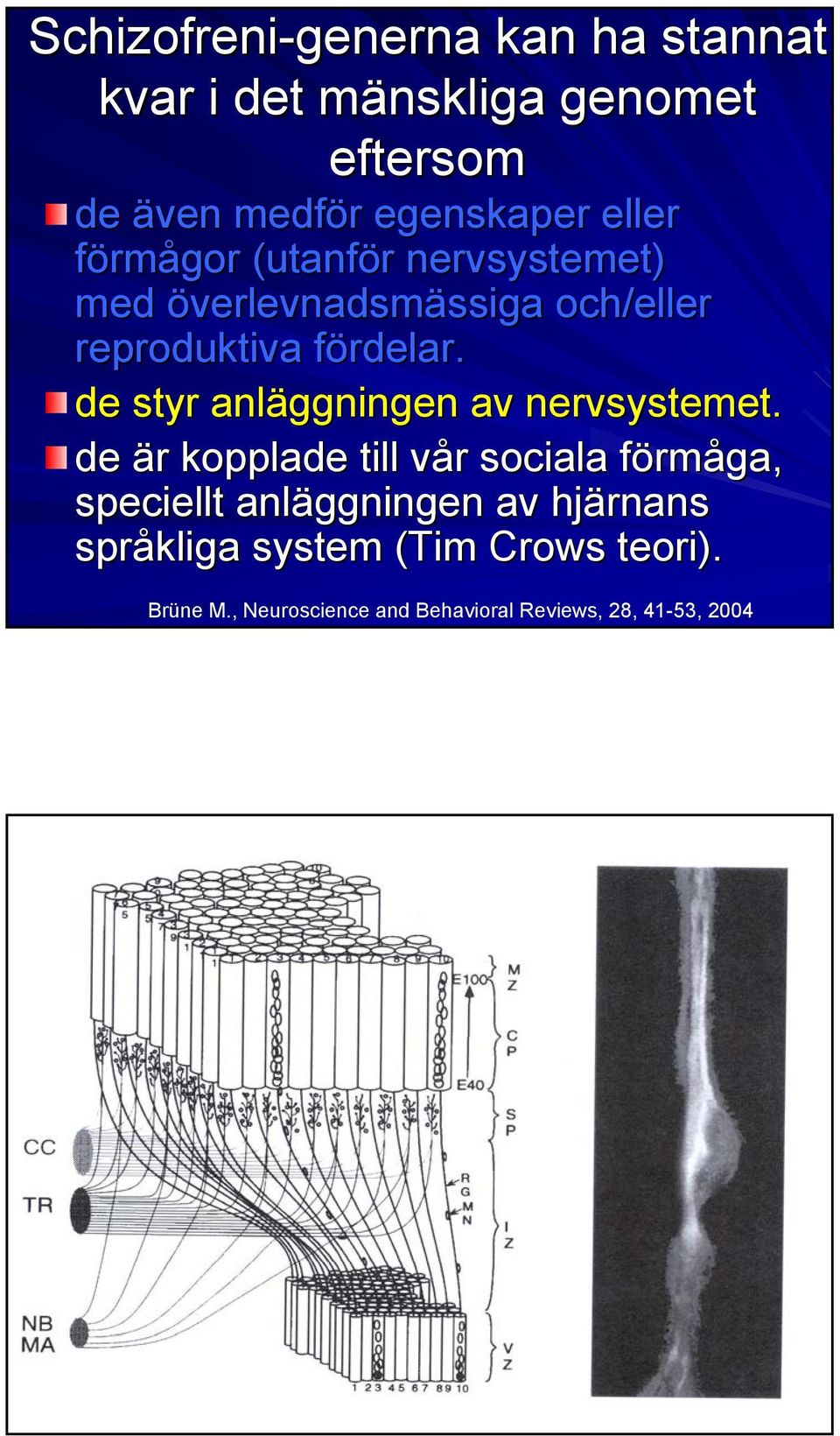 f de styr anläggningen av nervsystemet.