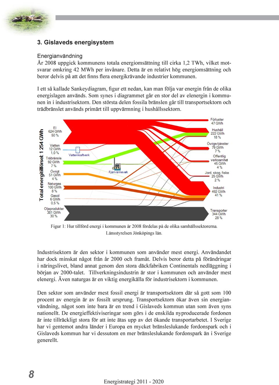 I ett så kallade Sankeydiagram, figur ett nedan, kan man följa var energin från de olika energislagen används. Som synes i diagrammet går en stor del av elenergin i kommunen in i industrisektorn.