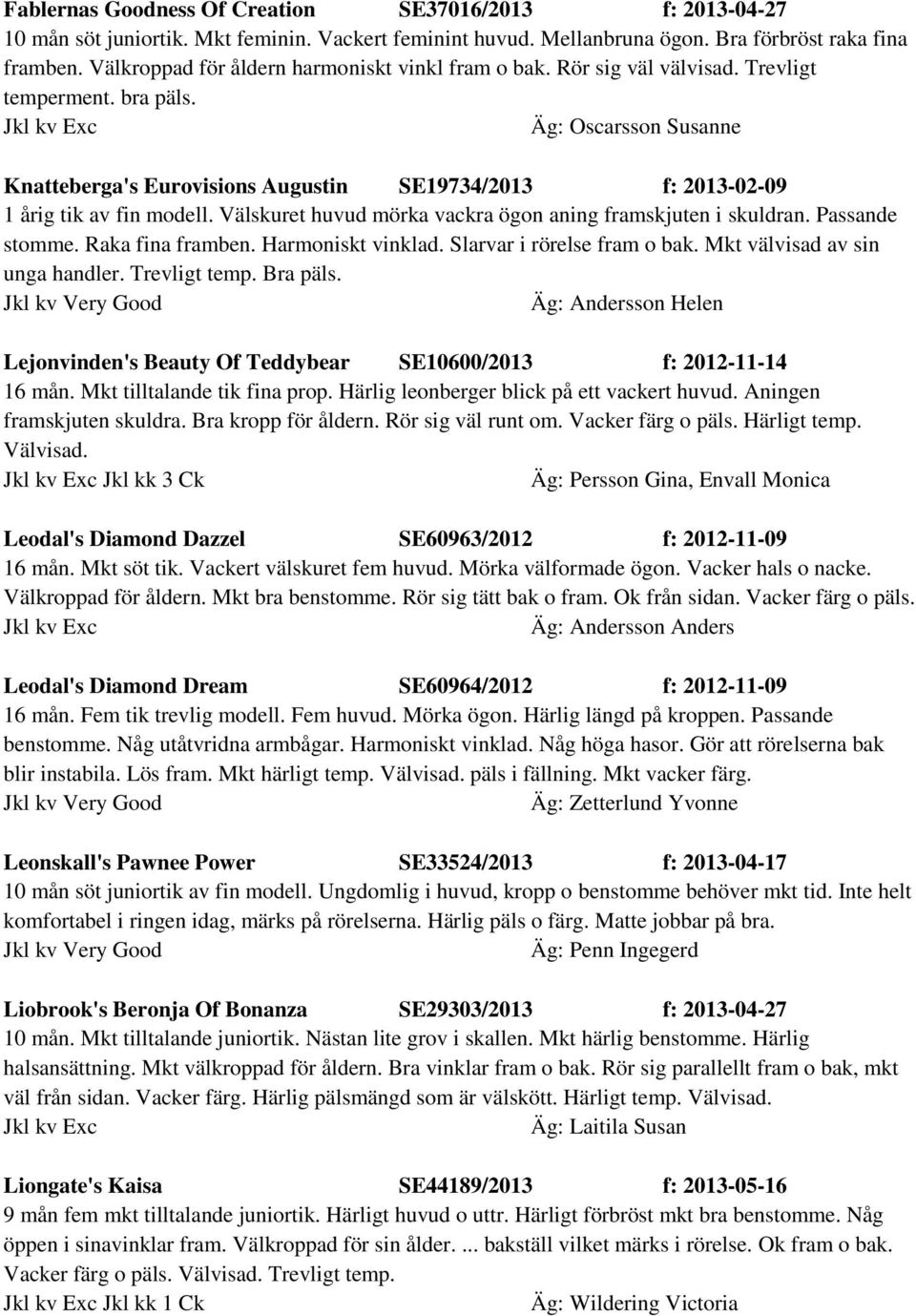 Jkl kv Exc Äg: Oscarsson Susanne Knatteberga's Eurovisions Augustin SE19734/2013 f: 2013-02-09 1 årig tik av fin modell. Välskuret huvud mörka vackra ögon aning framskjuten i skuldran.