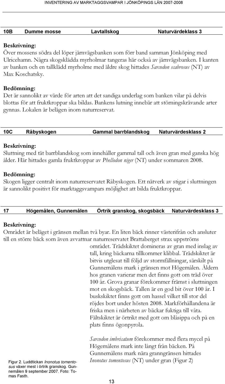 Bedömning: Det är sannolikt av värde för arten att det sandiga underlag som banken vilar på delvis blottas för att fruktkroppar ska bildas. Bankens lutning innebär att störningskrävande arter gynnas.