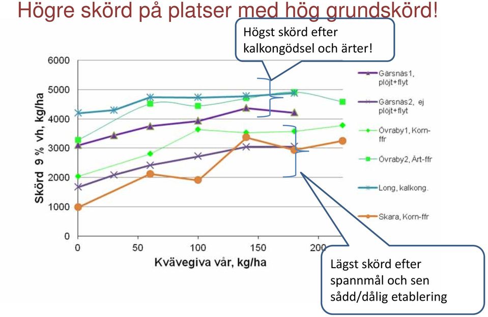 Högst skörd efter kalkongödsel och