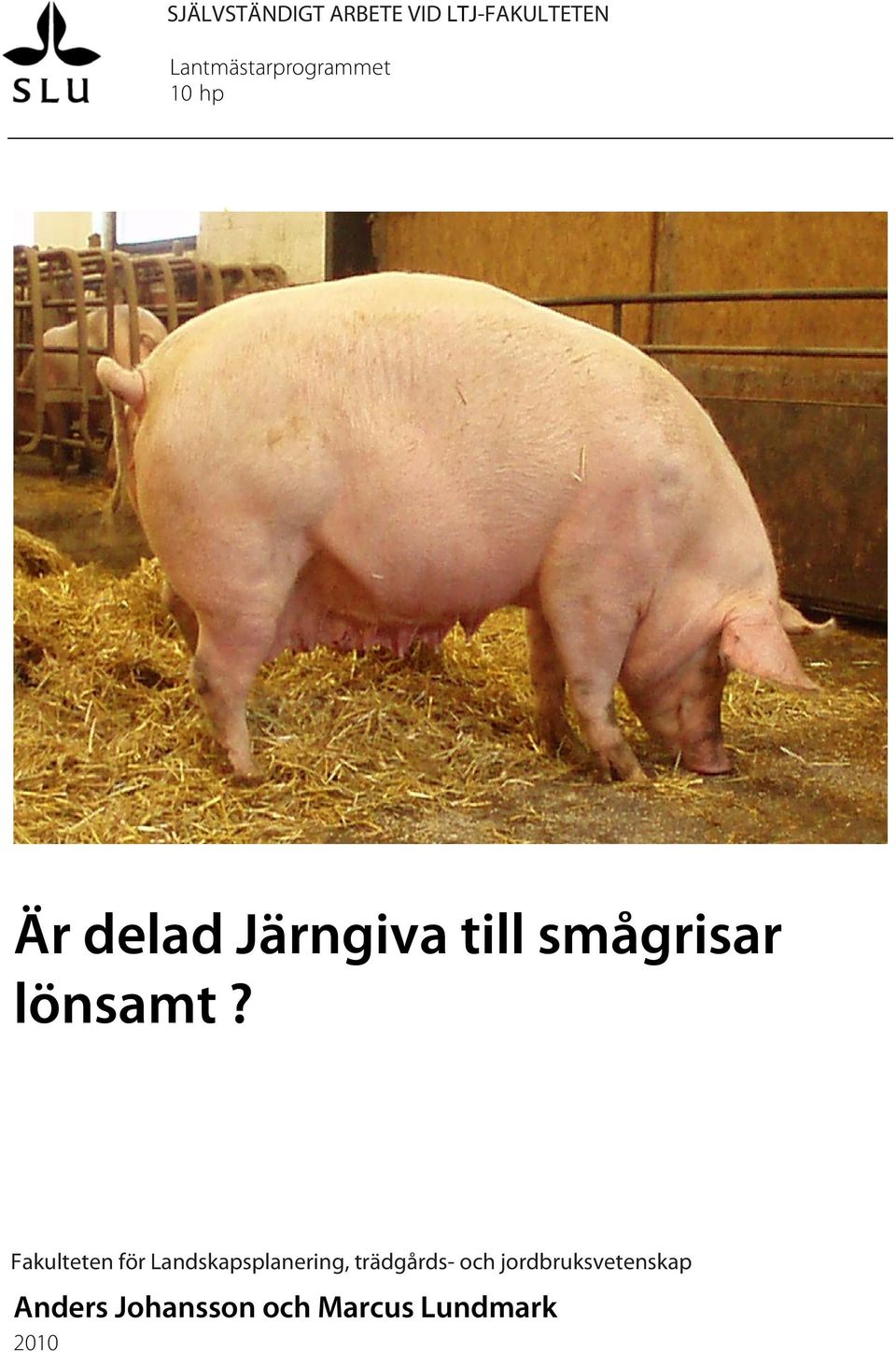 smågrisar lönsamt?