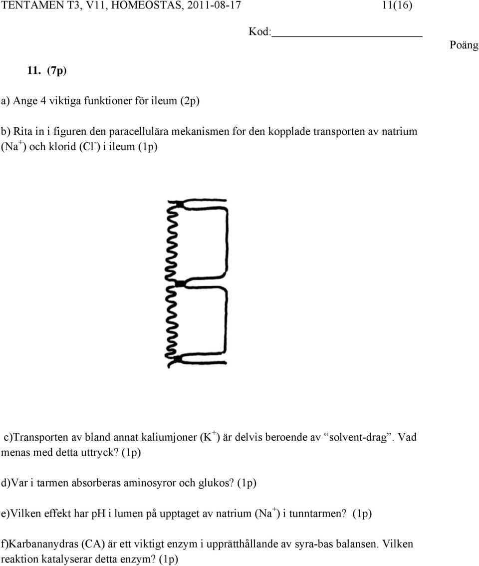 klorid (Cl - ) i ileum (1p) c)transporten av bland annat kaliumjoner (K + ) är delvis beroende av solvent-drag. Vad menas med detta uttryck?