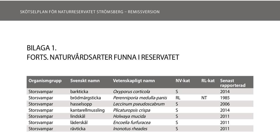 Storsvampar barkticka Oxyporus corticola S 2014 Storsvampar brödmärgsticka Perenniporia medulla-panis RL NT 1985