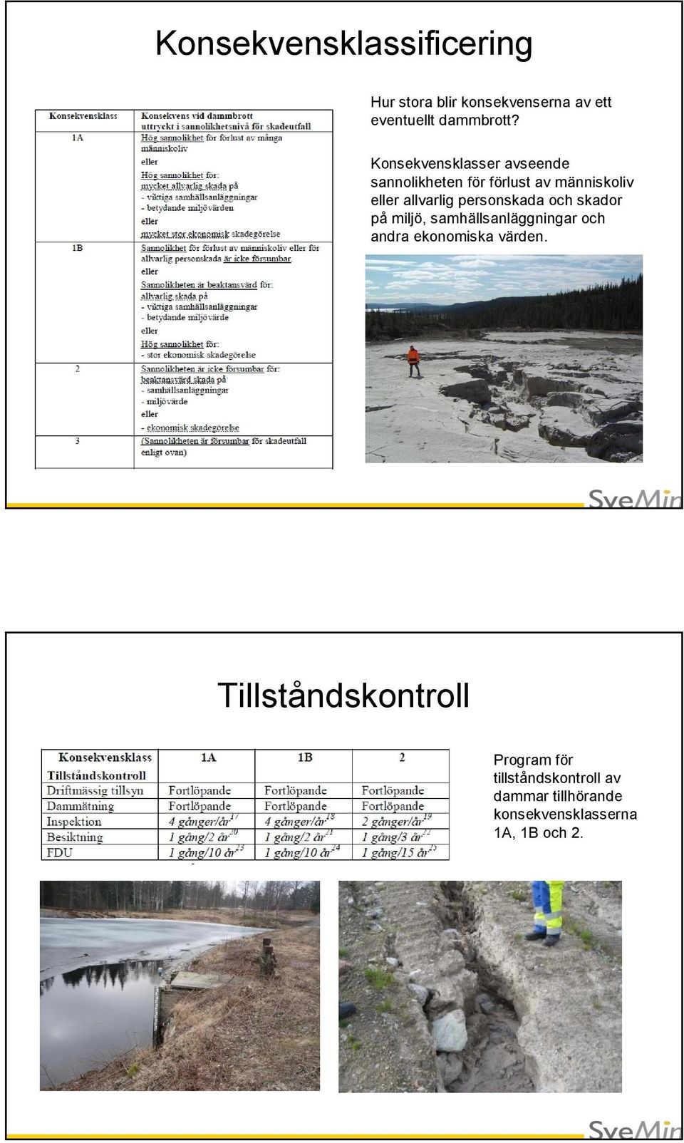 personskada och skador på miljö, samhällsanläggningar och andra ekonomiska värden.