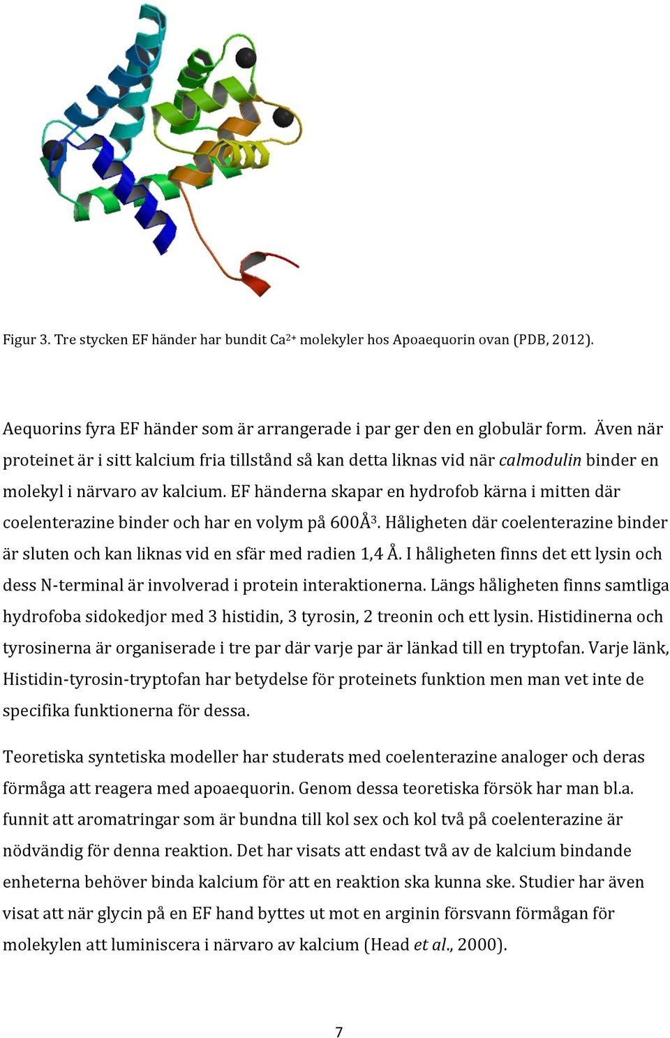 EF händerna skapar en hydrofob kärna i mitten där coelenterazine binder och har en volym på 600Å 3. Håligheten där coelenterazine binder är sluten och kan liknas vid en sfär med radien 1,4 Å.