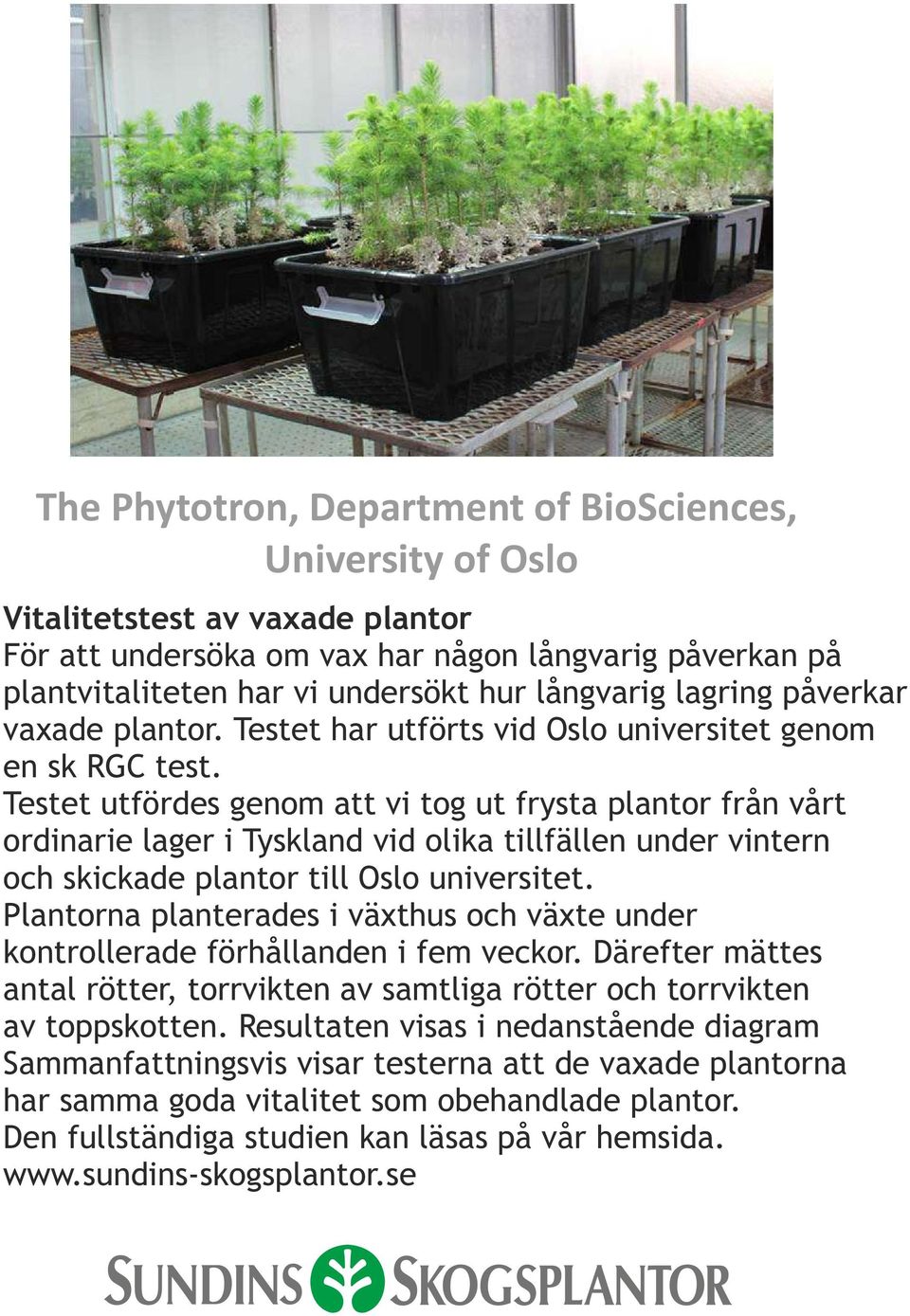 Testet utfördes genom att vi tog ut frysta plantor från vårt ordinarie lager i Tyskland vid olika tillfällen under vintern och skickade plantor till Oslo universitet.