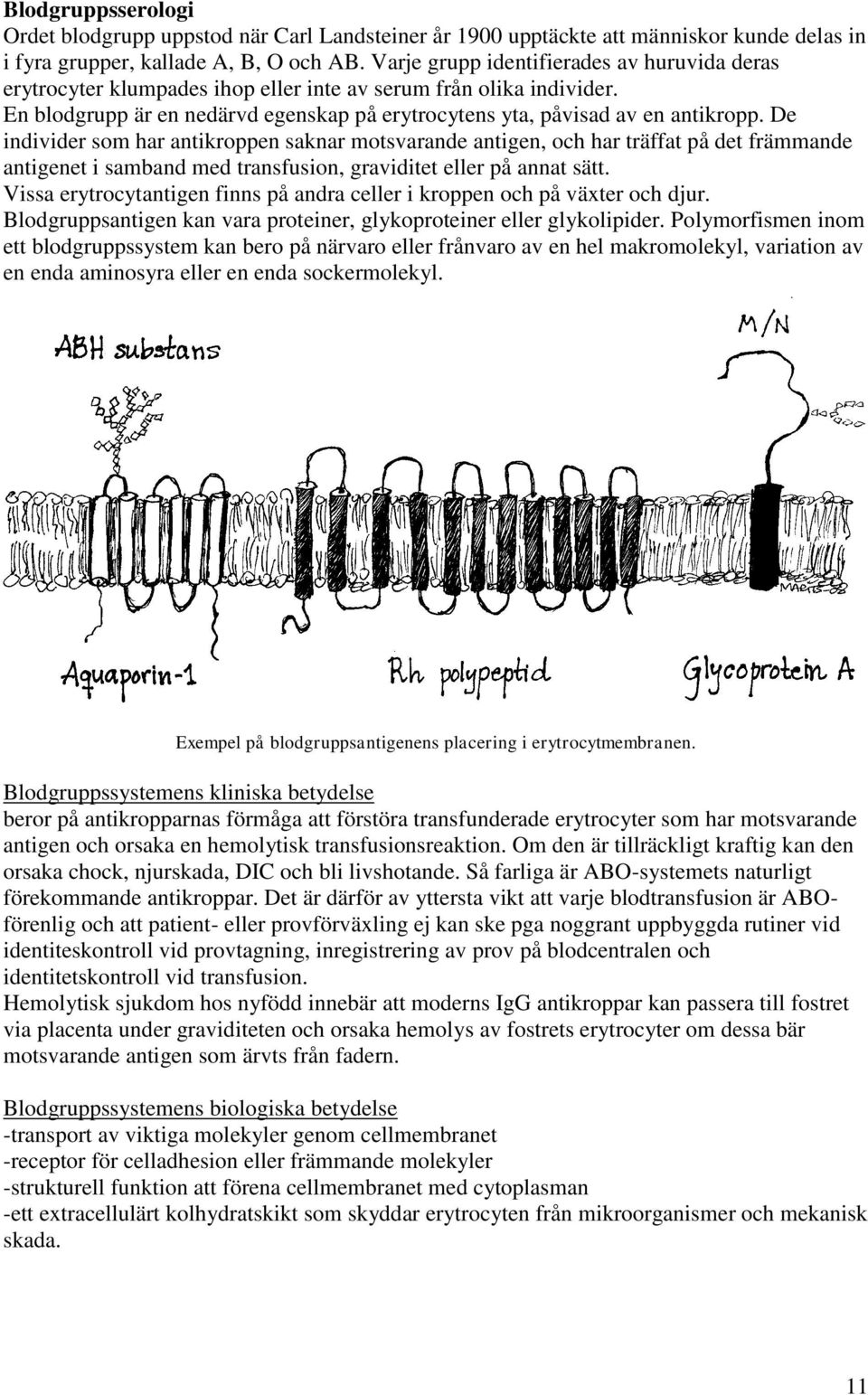 De individer som har antikroppen saknar motsvarande antigen, och har träffat på det främmande antigenet i samband med transfusion, graviditet eller på annat sätt.