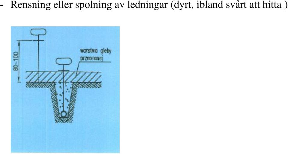 ledningar (dyrt,