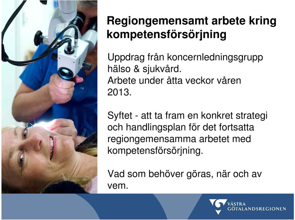 Syftet - att ta fram en konkret strategi och handlingsplan för det fortsatta
