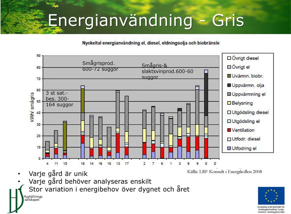 300-164 suggor Varje gård är unik 24 lösdriftsladugårdar kartlagda av