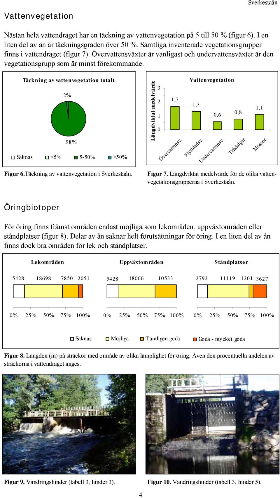 Täckning av vattenvegetation totalt 2% 98% Längdviktat medelvärde 3 2 1 0 1,7 Vattenvegetation 1,3 0,6 0,8 1,1 Saknas <5% 5-50% >50% Figur 6.Täckning av vattenvegetation i Sverkestaån. Figur 7.