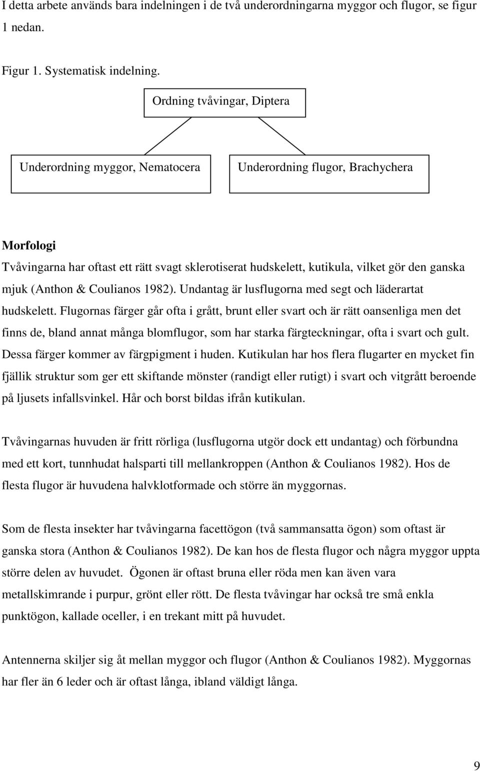 mjuk (Anthon & Coulianos 1982). Undantag är lusflugorna med segt och läderartat hudskelett.