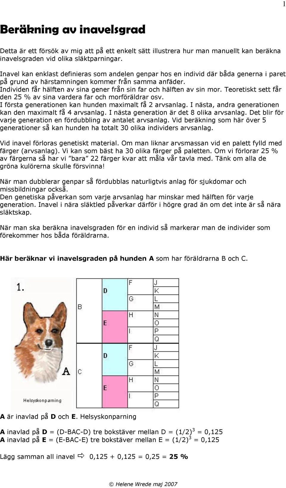 Individen får hälften av sina gener från sin far och hälften av sin mor. Teoretiskt sett får den 25 % av sina vardera far och morföräldrar osv.