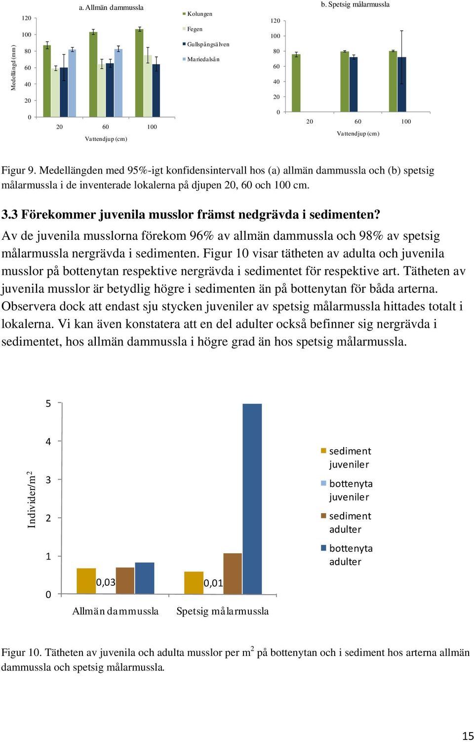 Medellängden med 95%-igt konfidensintervall hos (a) allmän dammussla och (b) spetsig målarmussla i de inventerade lokalerna på djupen 20, 60 och 100 cm. 3.