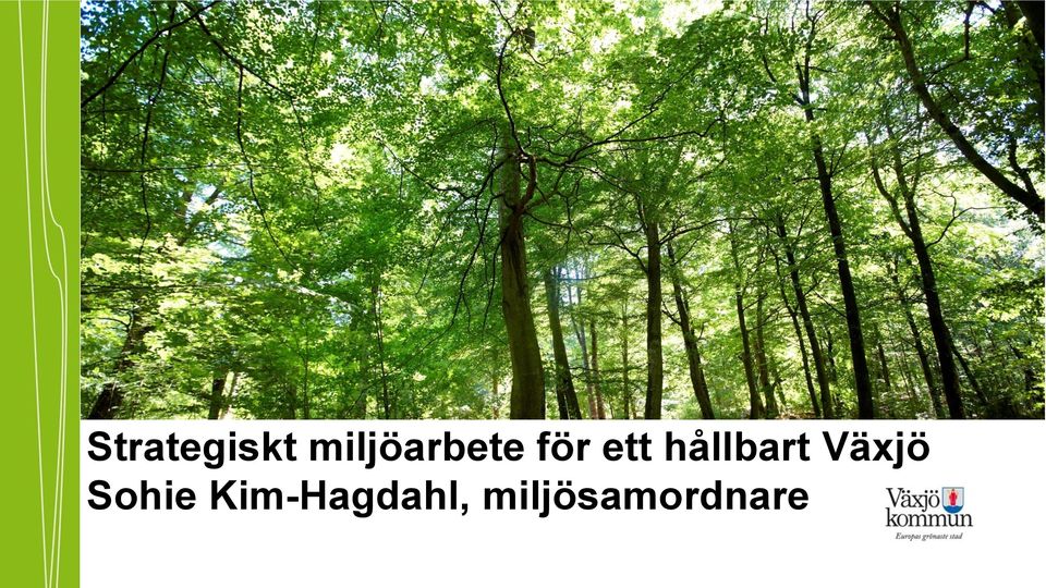 hållbart Växjö Sohie