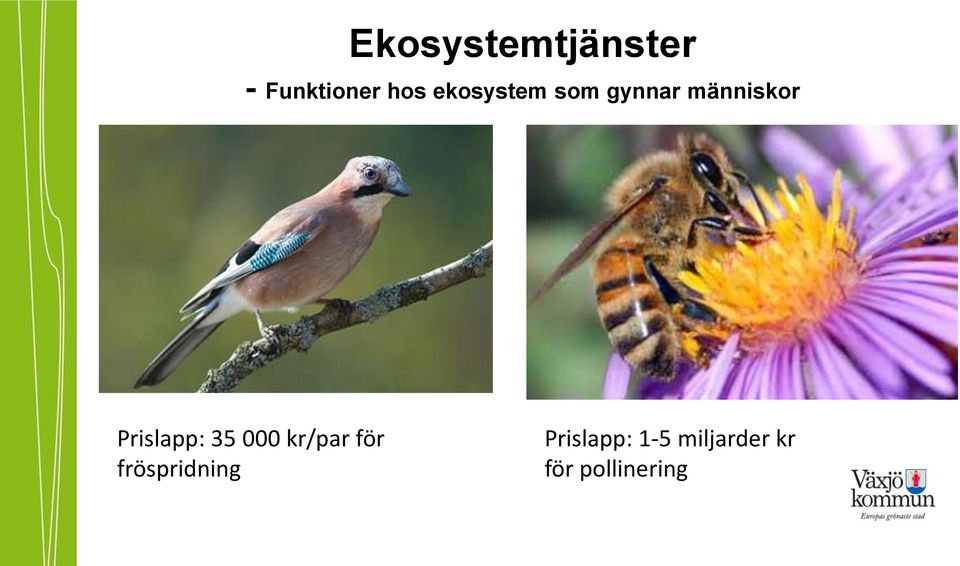 Prislapp: 35 000 kr/par för