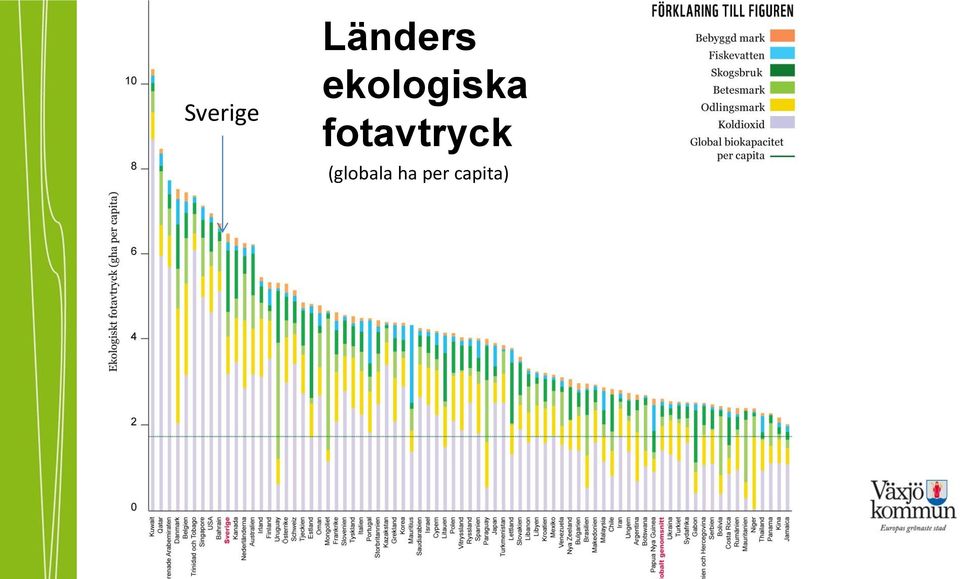 fotavtryck