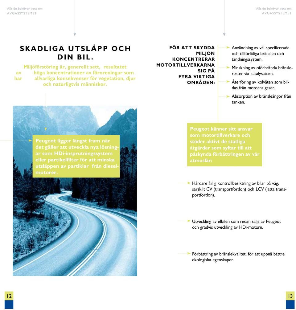 Minskning av oförbrända bränslerester via katalysatorn. Återföring av kolväten som bildas från motorns gaser. Absorption av bränsleångor från tanken.