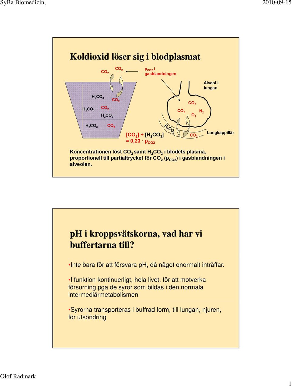 ph i kroppsvätskorna, vad har vi arna till? Inte bara för att försvara ph, då något onormalt inträffar.