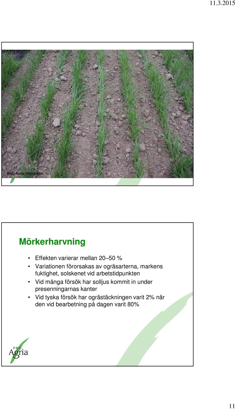 arbetstidpunkten Vid många försök har solljus kommit in under presenningarnas