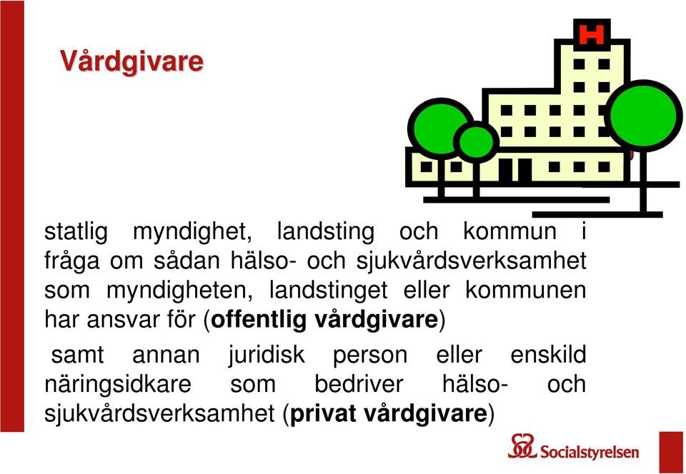 ansvar för (offentlig vårdgivare) samt annan juridisk person eller enskild