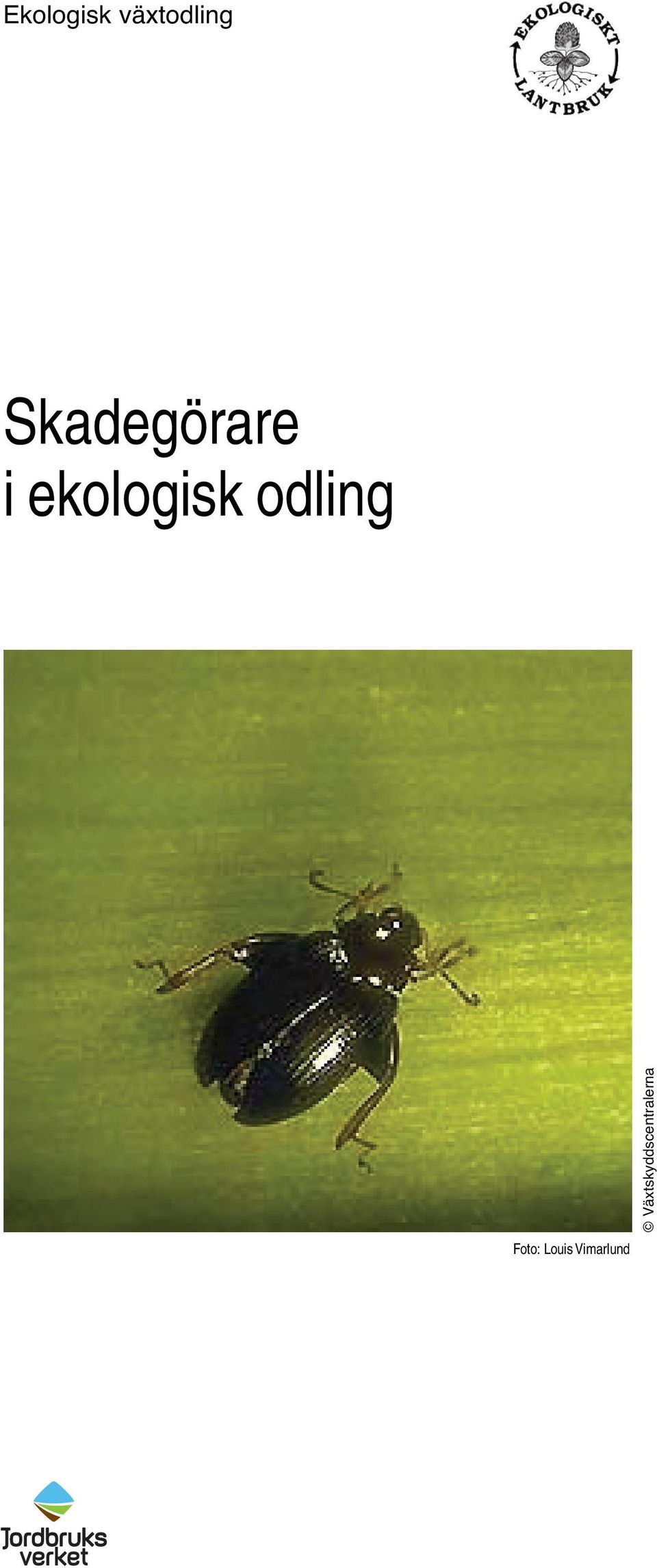 Skadegörare i