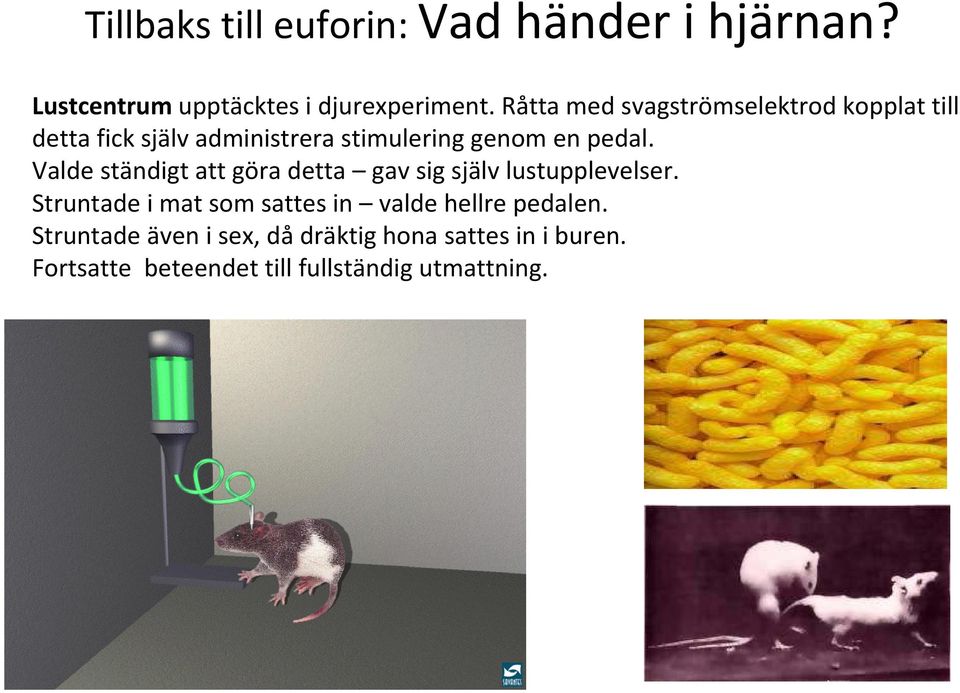 Valde ständigt att göra detta gav sig själv lustupplevelser.