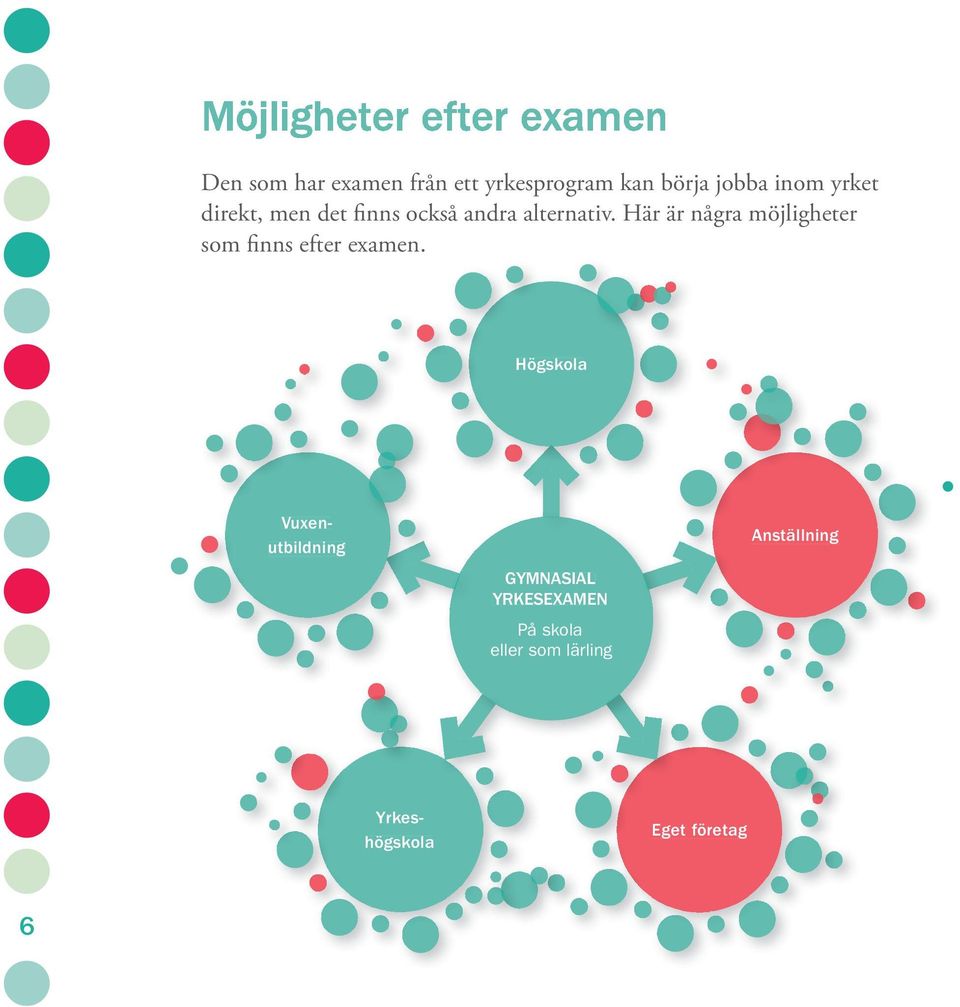 Här är några möjligheter som finns efter examen.