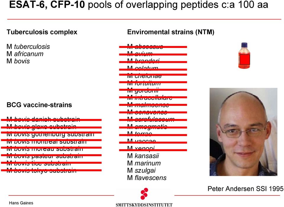 bovis pasteur substrain M bovis tice substrain M bovis tokyo substrain M abcessus M avium M branderi M celatum M chelonae M fortuitum M gordonii M