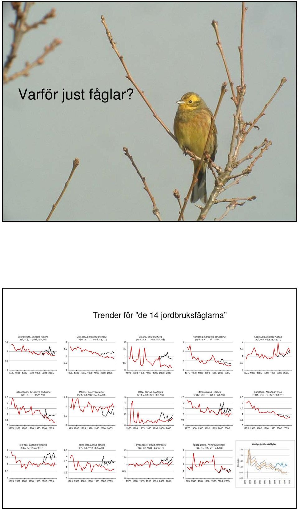 98 985 99 995 5 975 98 985 99 995 5 975 98 985 99 995 5 Ortolansparv, Emberiza hortulana Pilfink, Passer montanus Råka, Corvus frugilegus Stare, Sturnus vulgaris Sånglärka, Alauda arvensis.5 (3, -4.