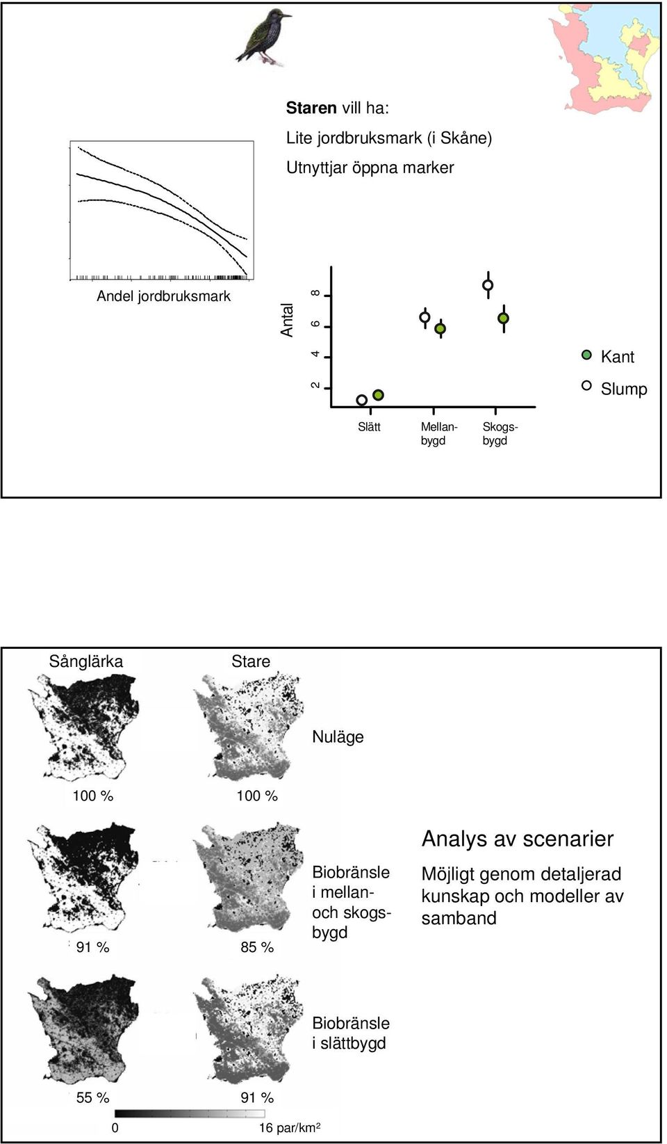 Sånglärka Stare Nuläge % % Analys av scenarier 9 % 85 % Biobränsle i mellanoch