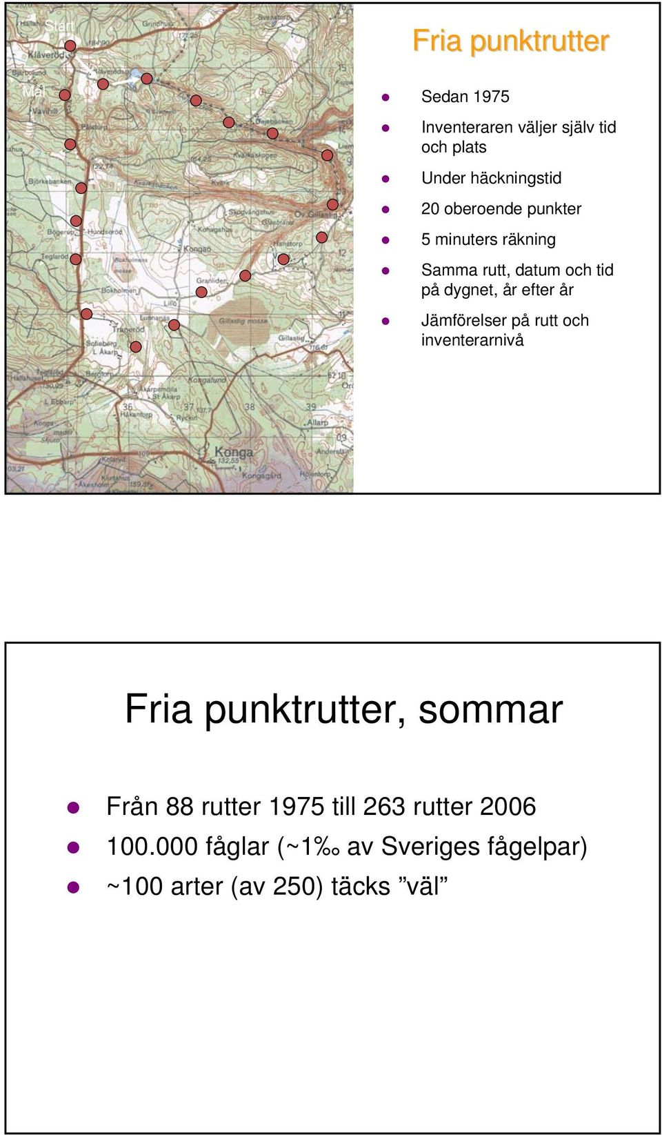 dygnet, år efter år Jämförelser på rutt och inventerarnivå Fria punktrutter, sommar