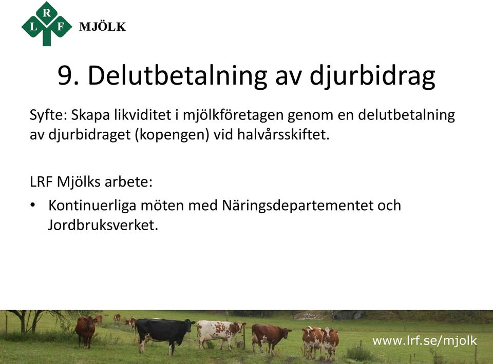 av djurbidraget (kopengen) vid halvårsskiftet.