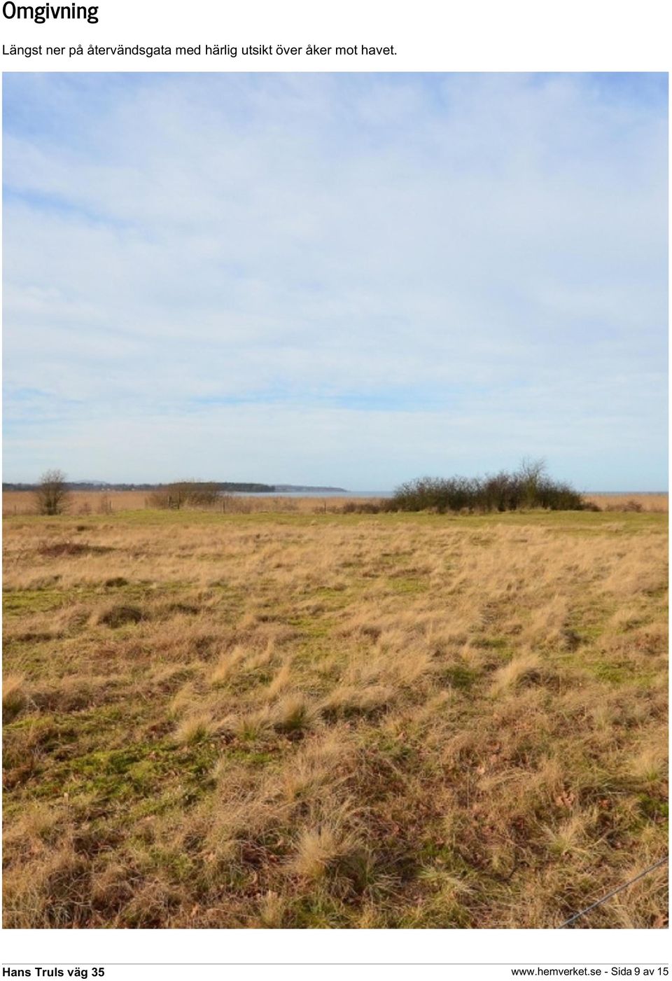 utsikt över åker mot havet.