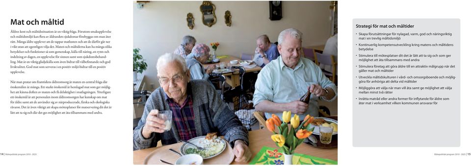 Maten och måltiderna kan ha många olika betydelser och funktioner så som gemenskap, källa till näring, en rytm och indelning av dagen, en upplevelse för sinnen samt som sjukdomsbehandling.