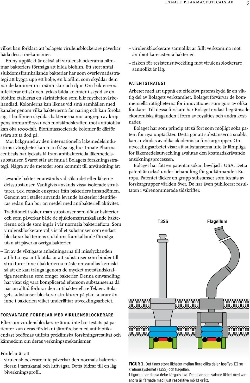 Ett stort antal sjukdomsframkallande bakterier har som överlevnadsstrategi att bygga upp ett hölje, en biofilm, som skyddar dem när de kommer in i människor och djur.