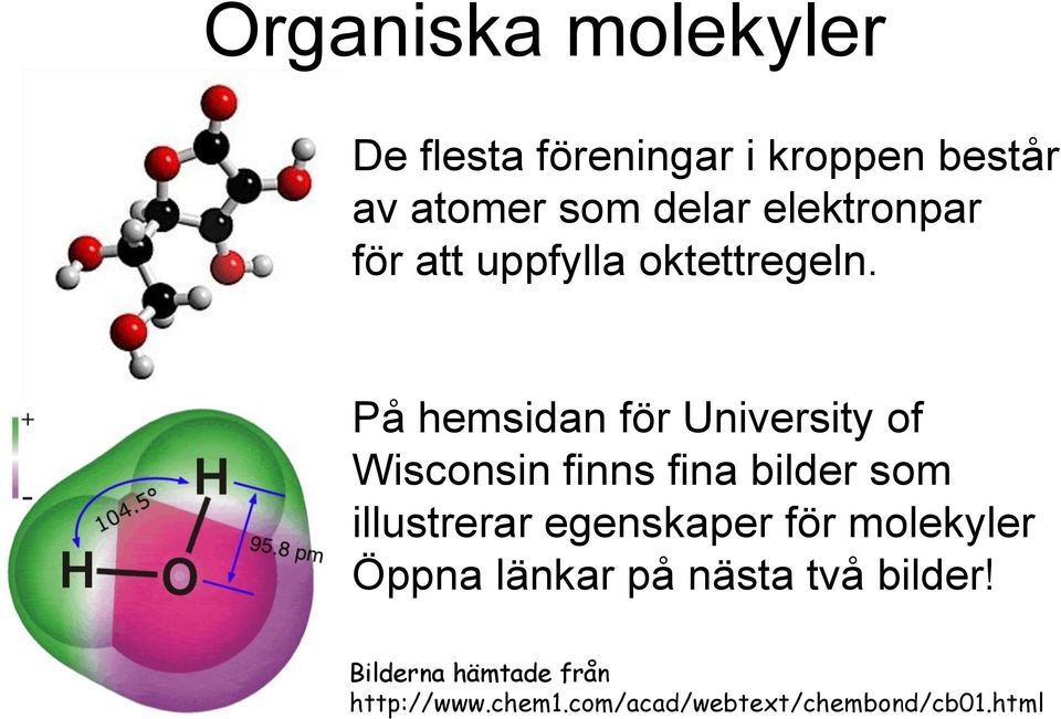 På hemsidan för University of Wisconsin finns fina bilder som illustrerar