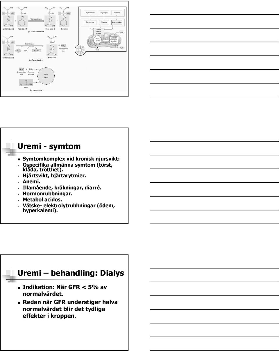 - Metabol acidos. - Vätske- elektrolytrubbningar (ödem, hyperkalemi).