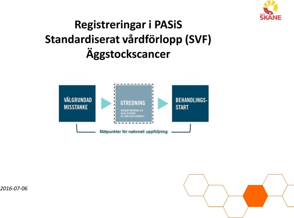 PASiS Standardiserat